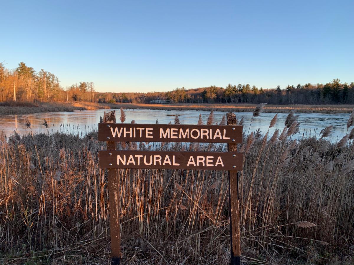 Pet Friendly The White Memorial Conservation Center