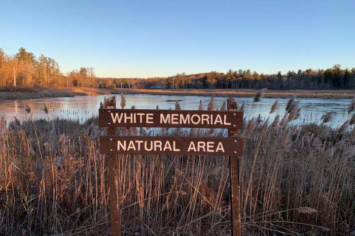Pet Friendly The White Memorial Conservation Center