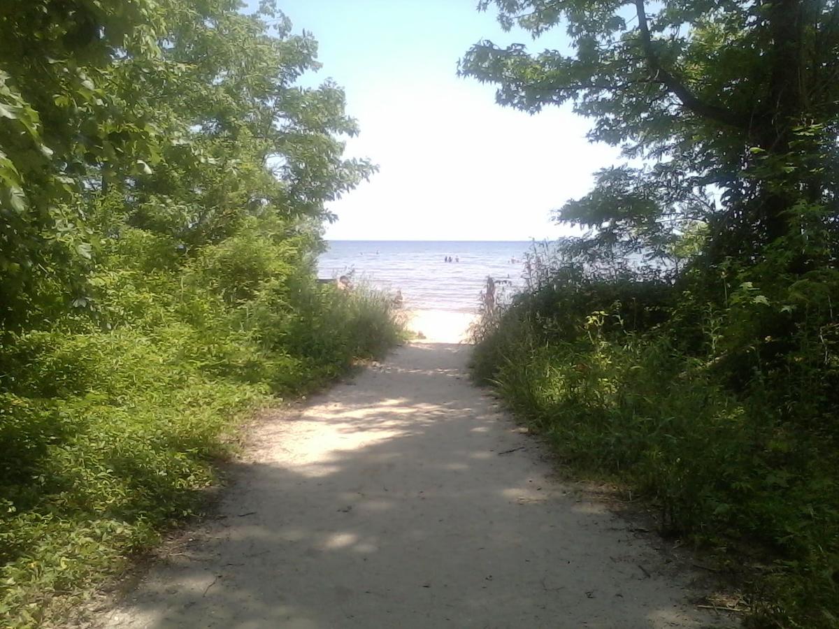 Dog Friendly Beaches In Chesapeake Beach Md Bringfido