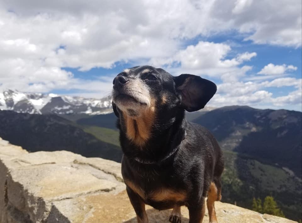 Rocky Mountain National Park