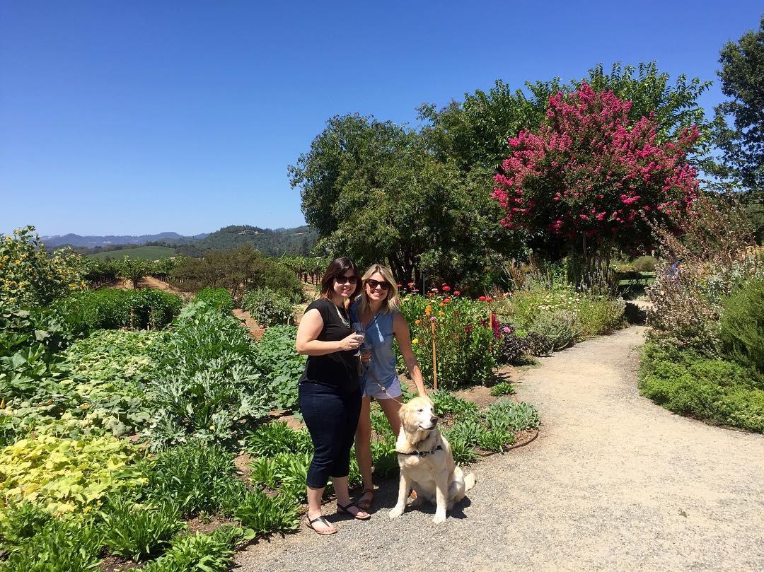 frog leap winery frog leap winery