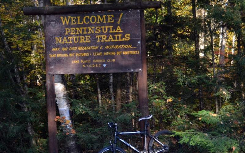 Dog Friendly Activities in Lake Placid, NY BringFido