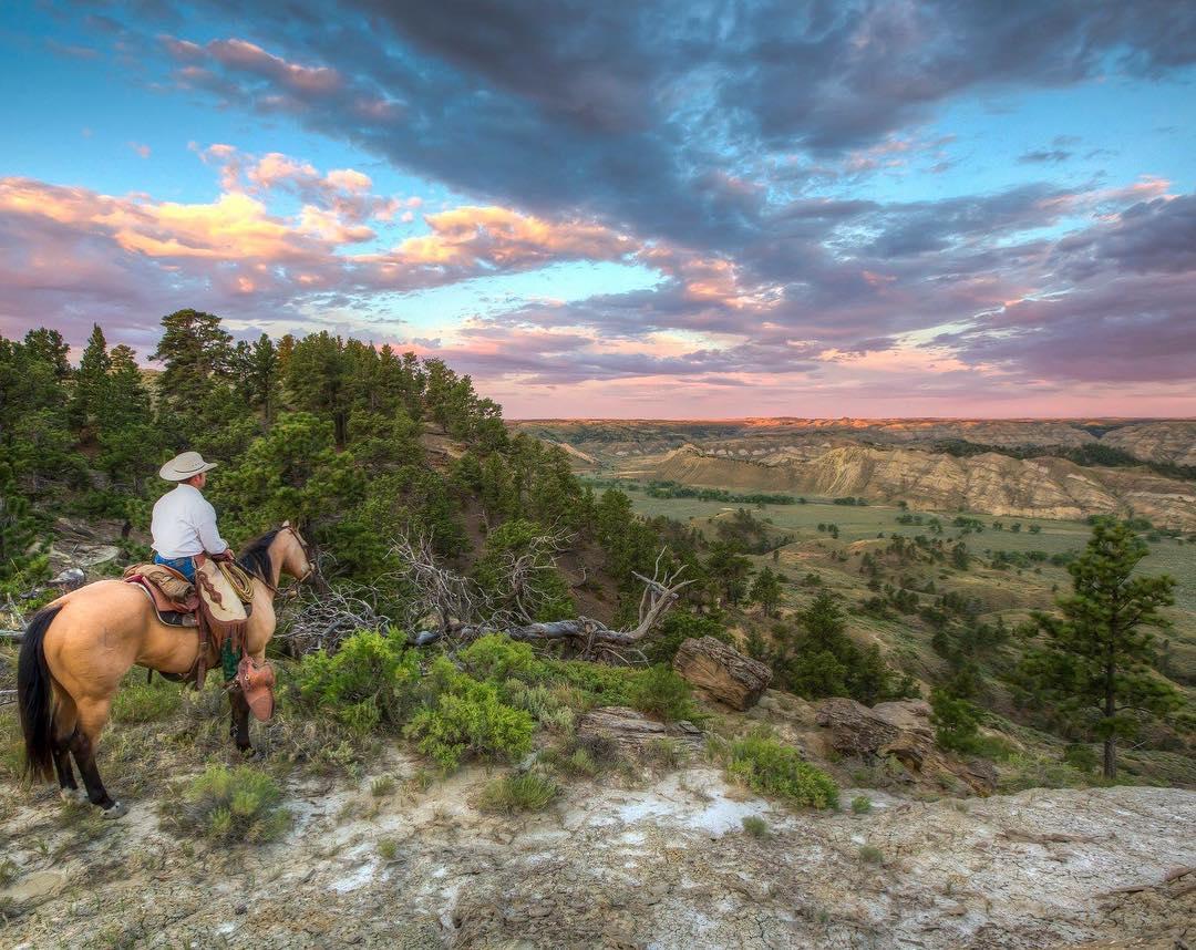Dog Friendly Hiking Trails in Lewistown, MT BringFido