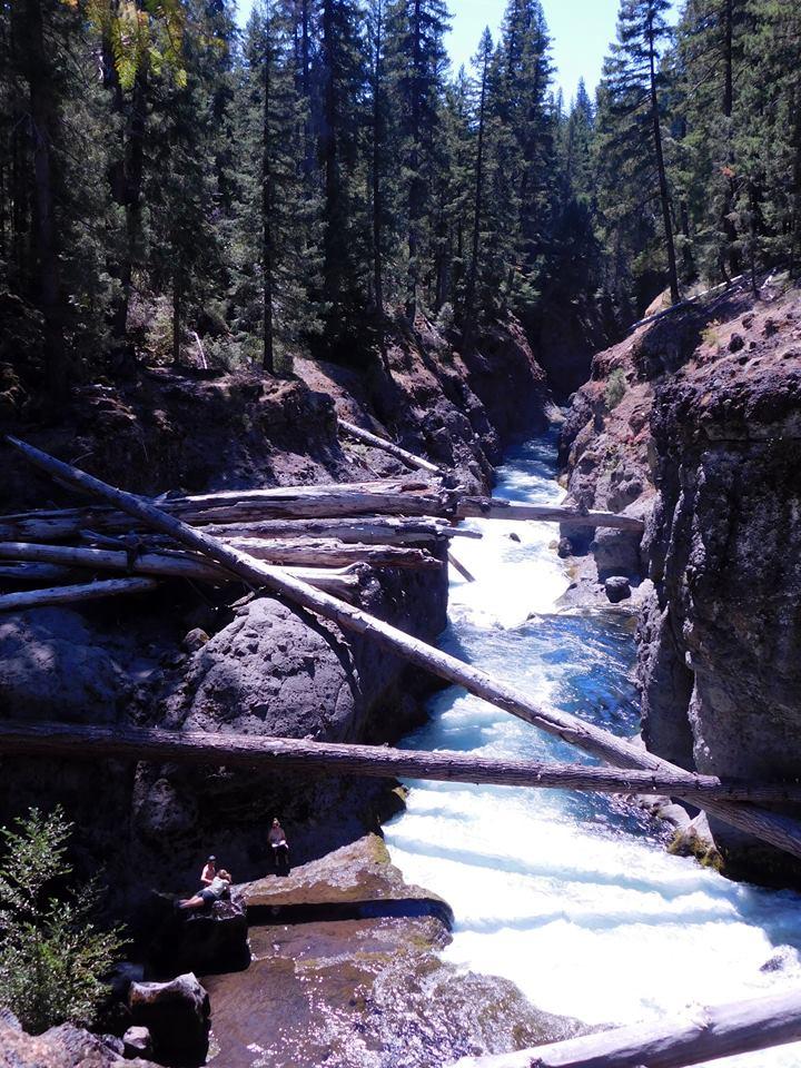Pet Friendly Upper Rogue River Trail: Knob Falls Segment (miles 10-14)