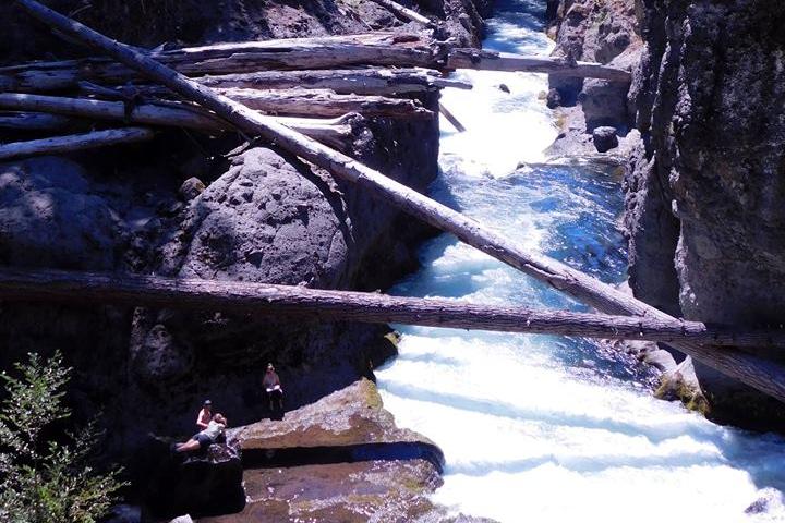 Pet Friendly Upper Rogue River Trail: Knob Falls Segment (miles 10-14)