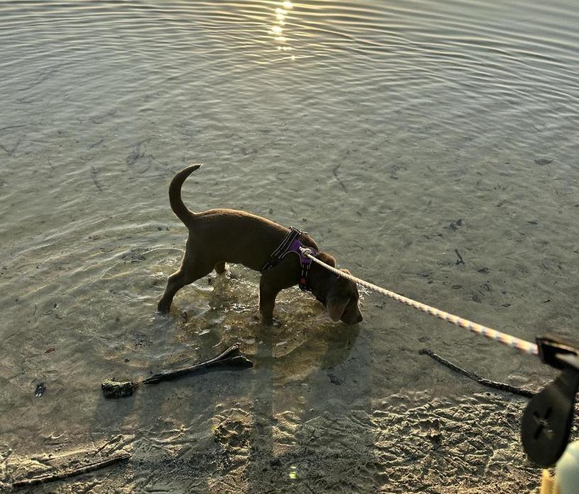 Pet Friendly T.Y. (Topeekeegee Yugnee) Park