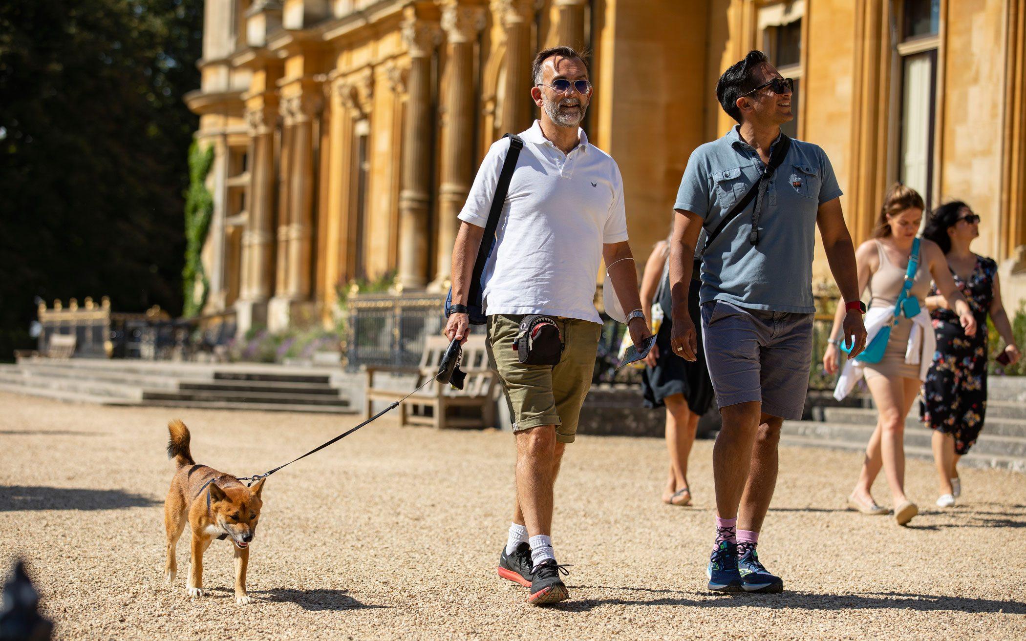 Pet Friendly Waddesdon Manor