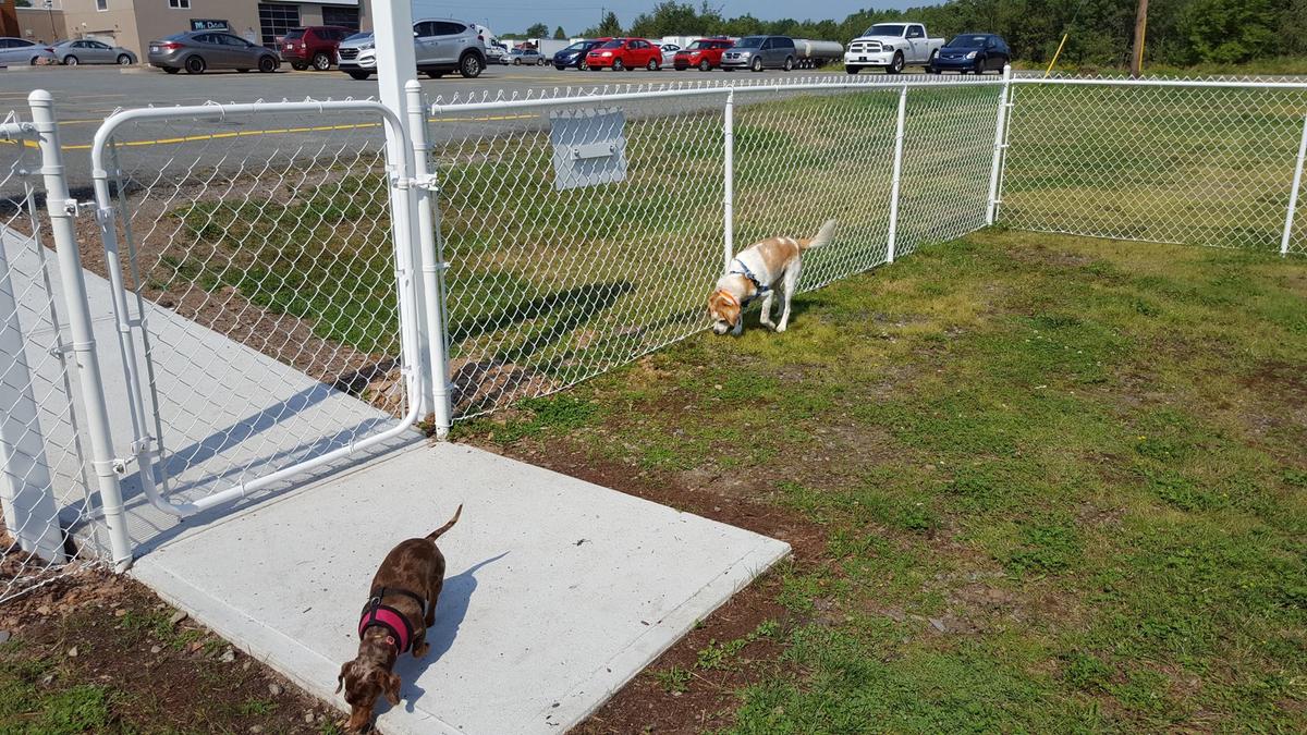 Our Bark Parks, Dog Park, Irving Oil