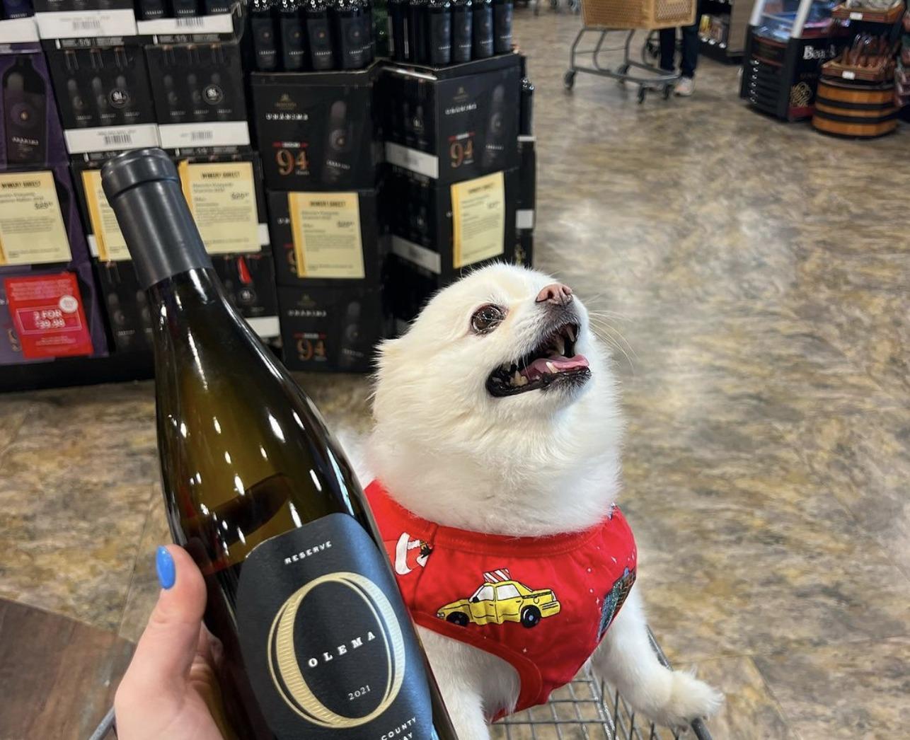 Pet Friendly Total Wine & More Gainesville