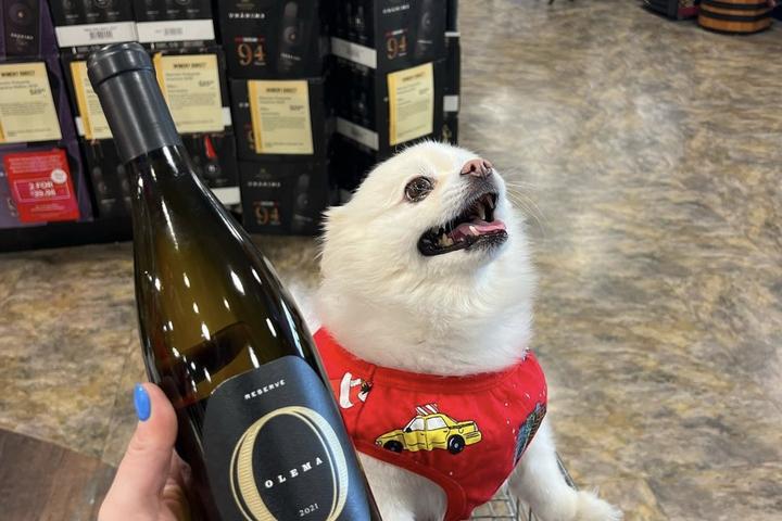 Pet Friendly Total Wine & More Gainesville