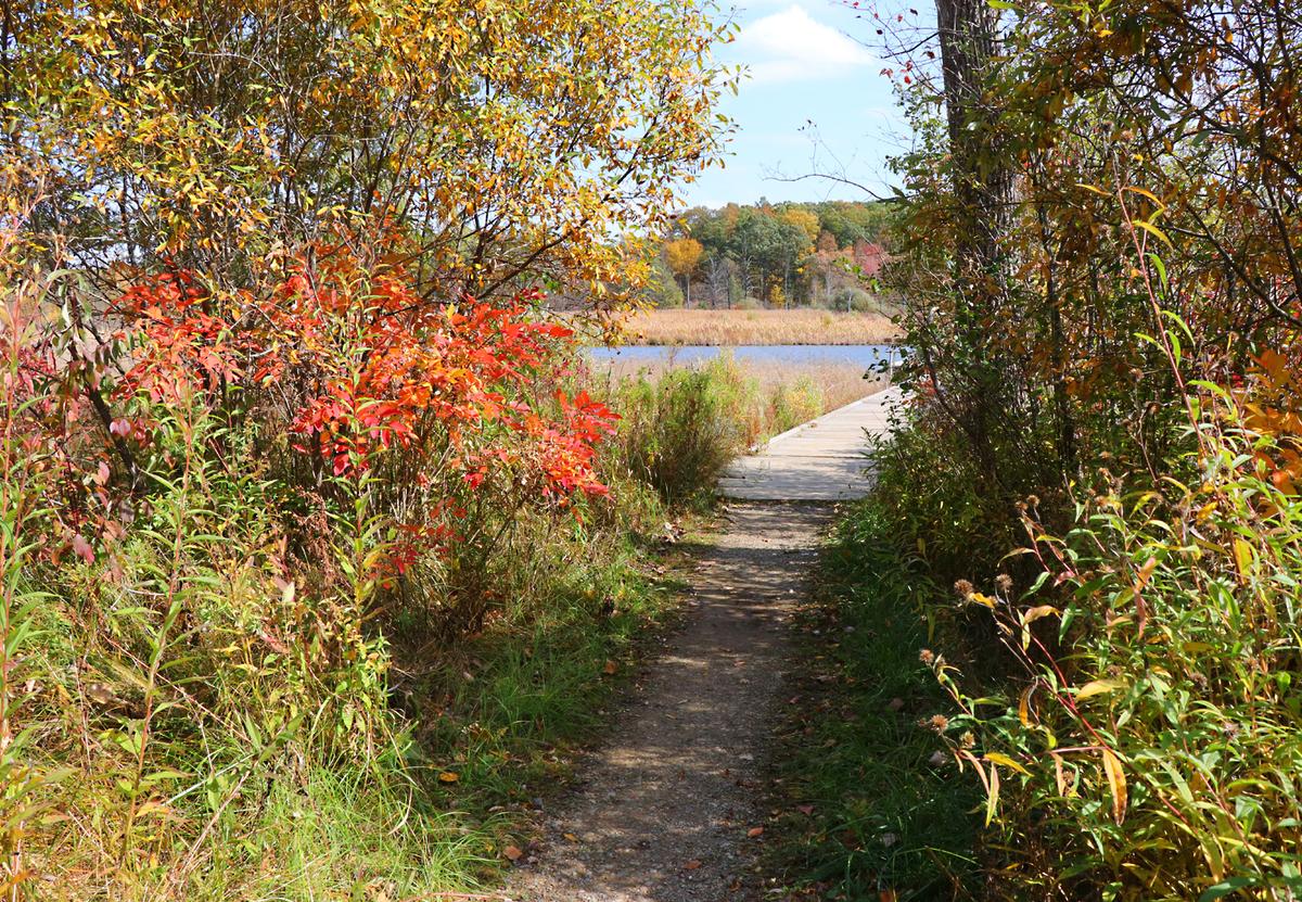 Pokagon State Park