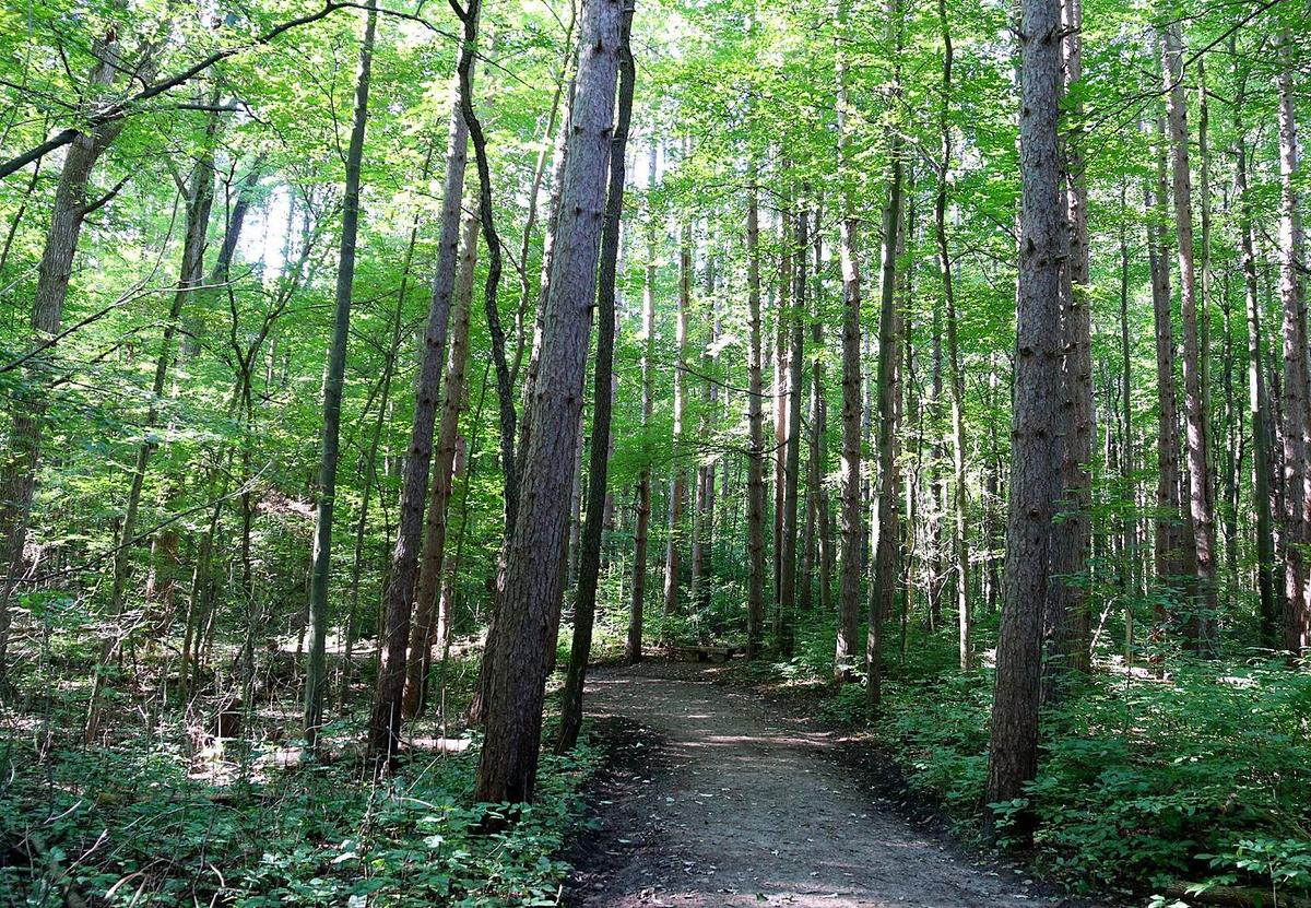 Pokagon state clearance park hiking