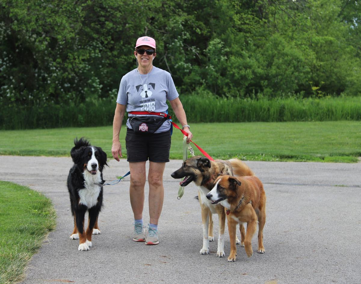 Dog Friendly Activities In Columbus Oh Bringfido