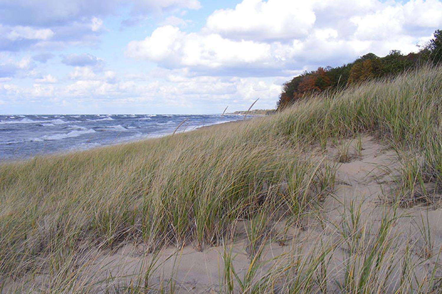 Saugatuck Dunes State Park Saugatuck Dunes State Park Map