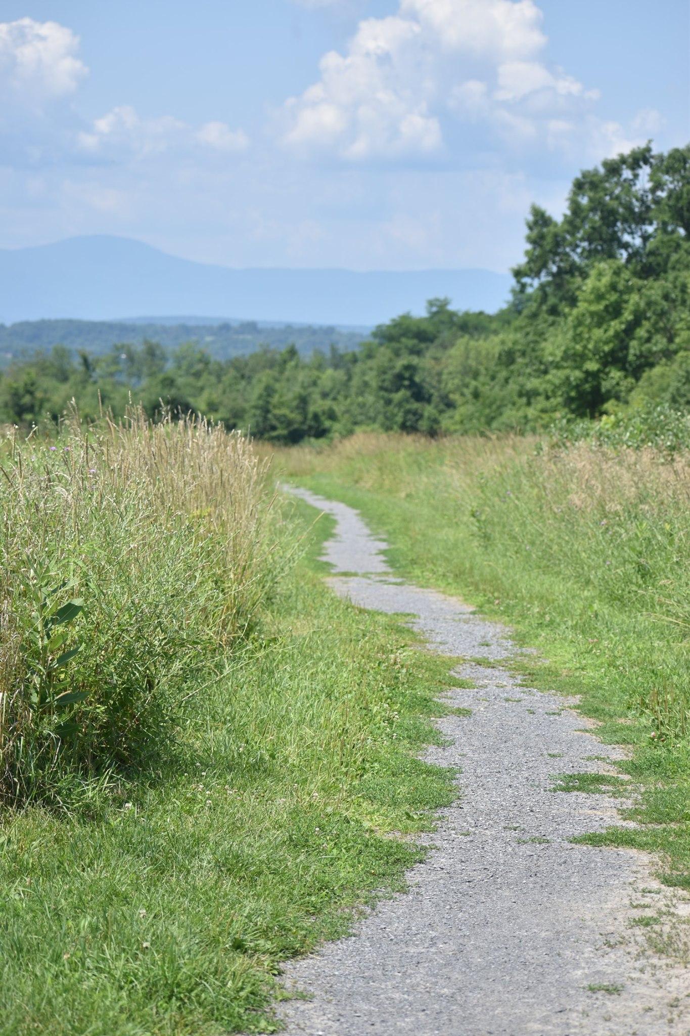 Greenport Conservation Area
