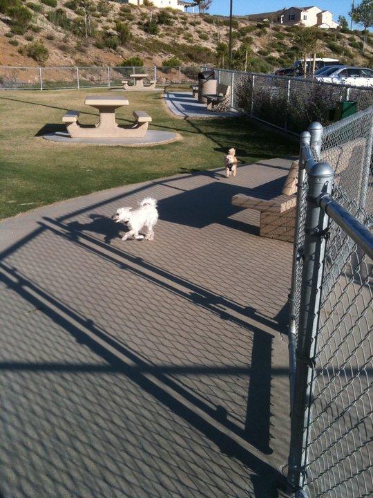 Pet Friendly Mount San Miguel Dog Park
