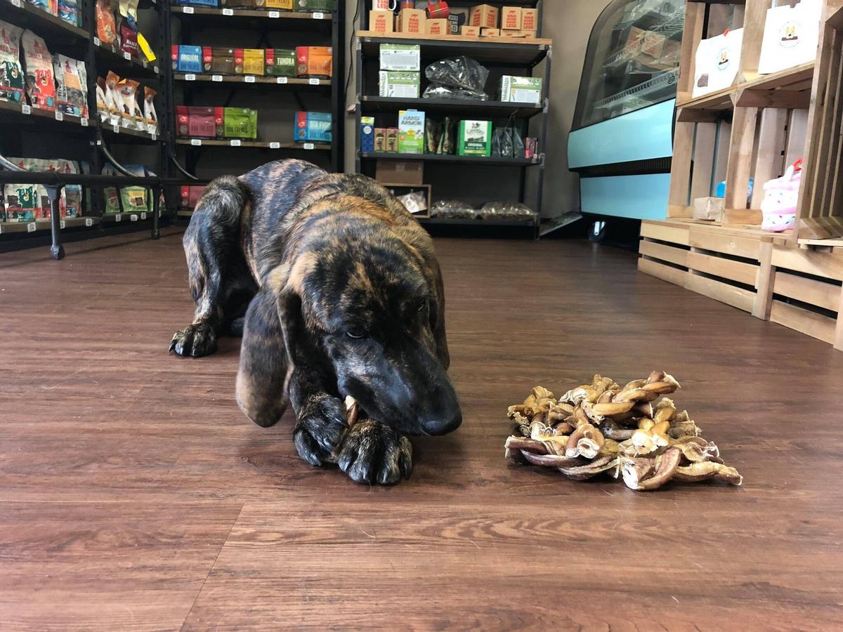 hollywood feed firewheel