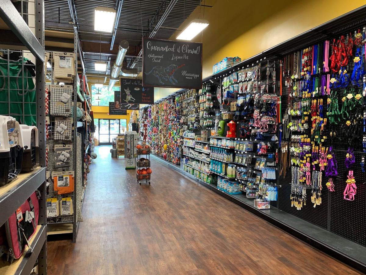 hollywood feed firewheel