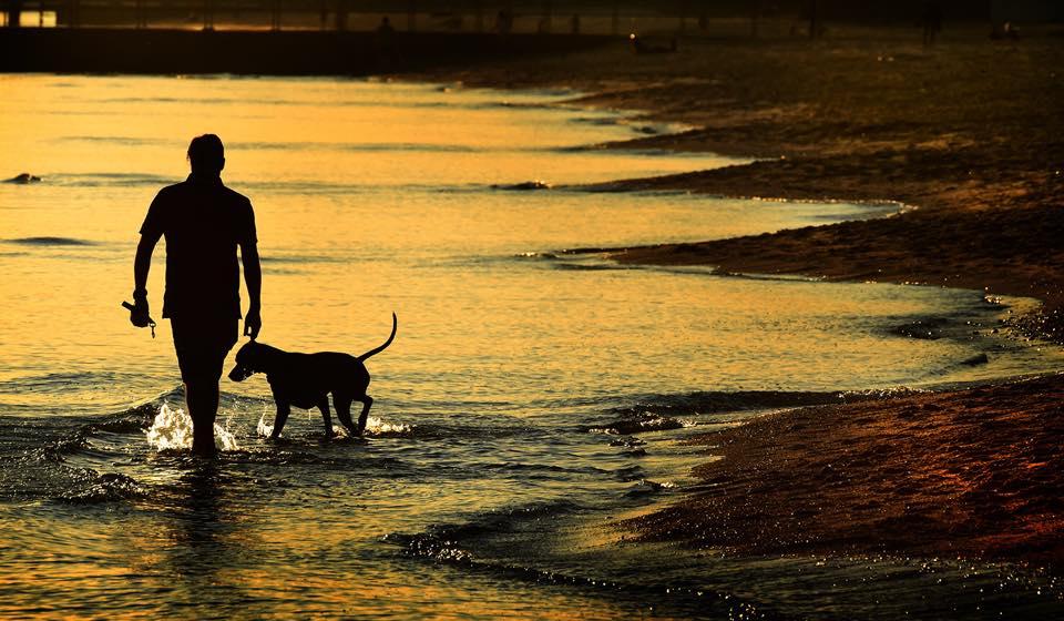 Pet Friendly Port Melbourne Dog Beach