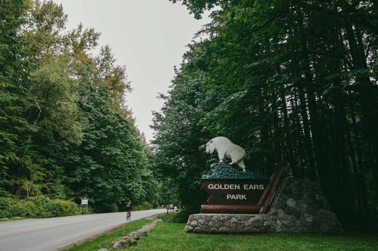 Pet Friendly Golden Ears Provincial Park