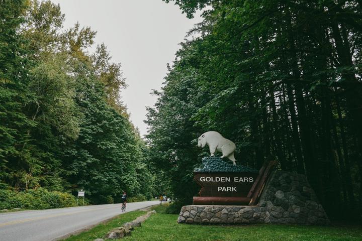 Pet Friendly Golden Ears Provincial Park