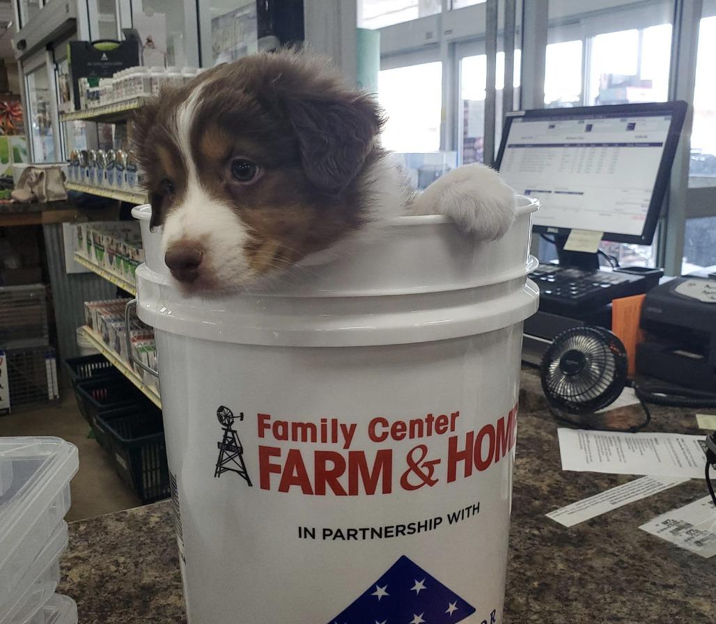 Family Center Farm Home Sedalia