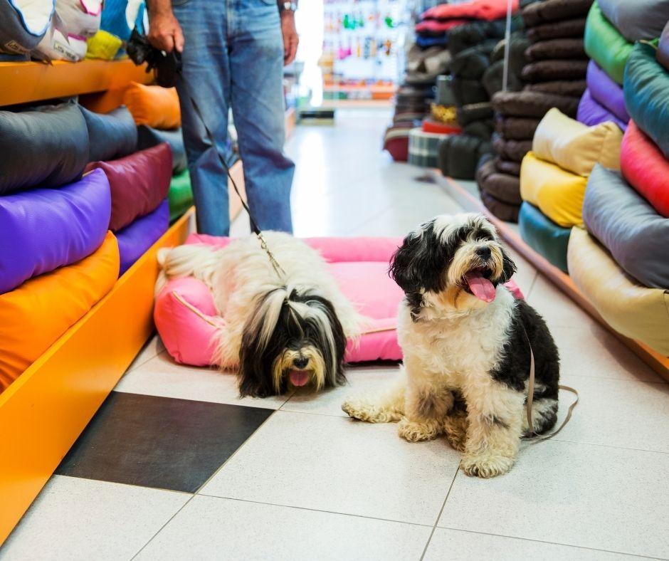 Grove City Agway & Pets