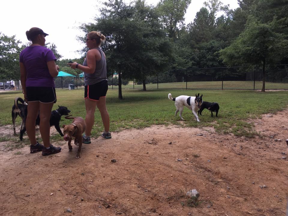 Pitner Road Dog Park