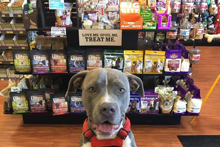 Pet Friendly Pet Valu in Timmins Square Mall