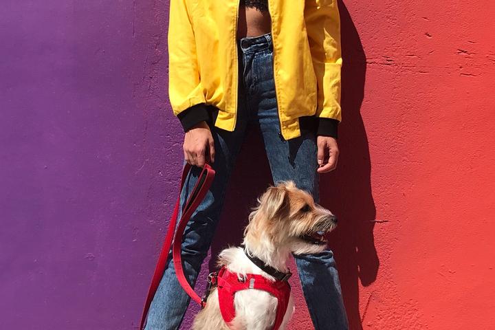 Pet Friendly Your Own Music Video in Miami