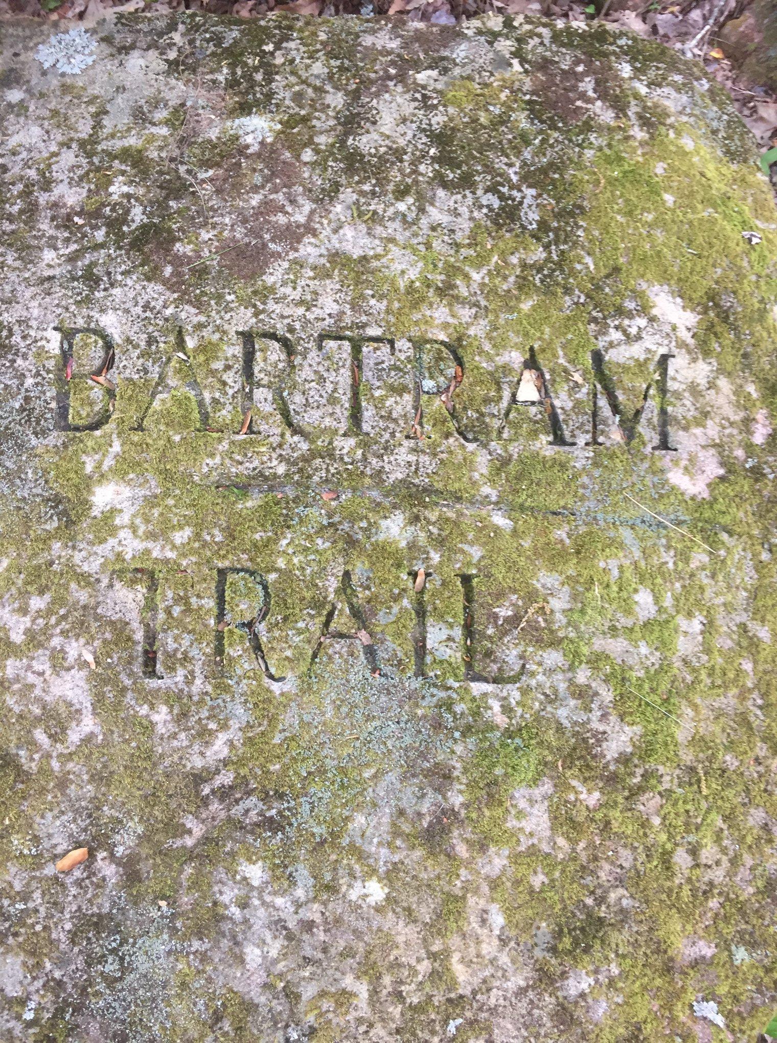 Pet Friendly Bartram Trail