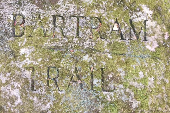 Pet Friendly Bartram Trail