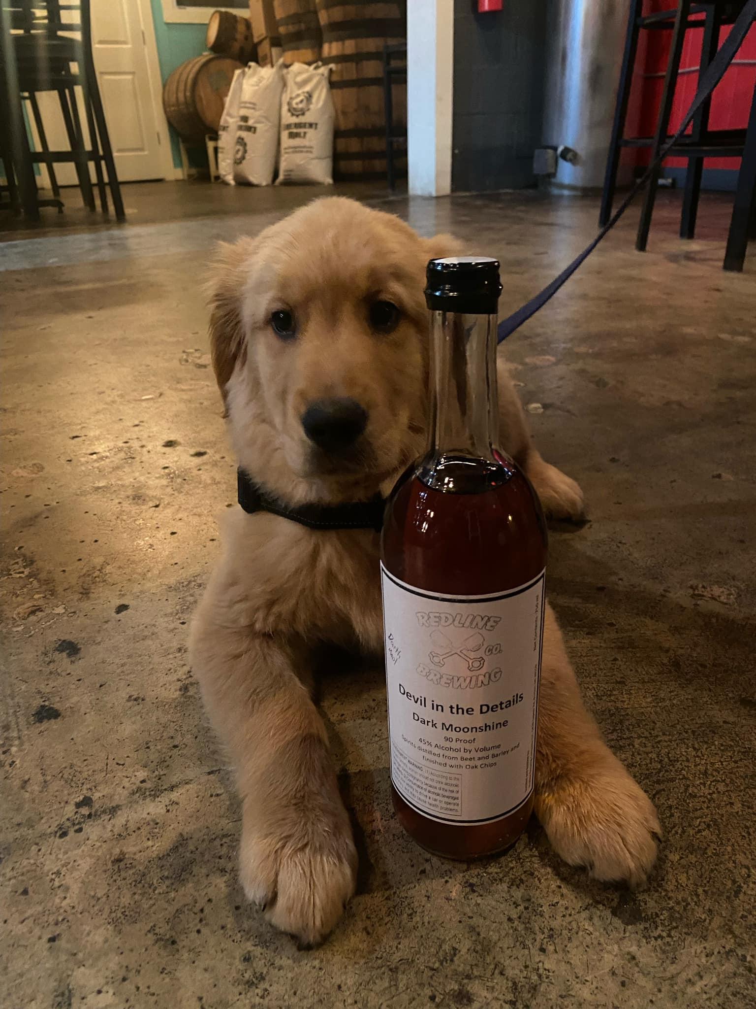 Pet Friendly Redline Brewing Company