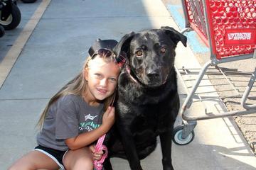 Dog Friendly Shopping In Worcester Ma Bringfido