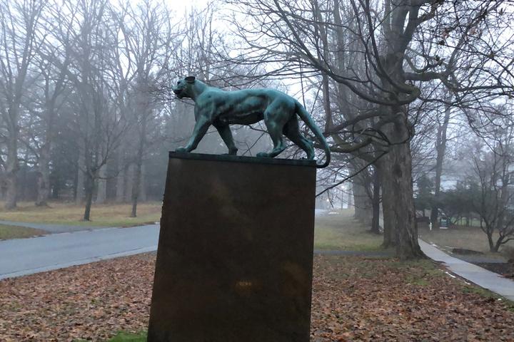 Pet Friendly Bennington Battle Monument