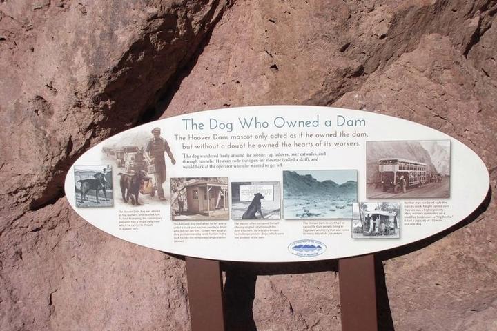 Pet Friendly The Dog Who Owned a Dam