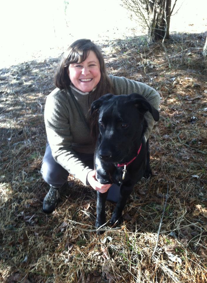 wake forest dog collar