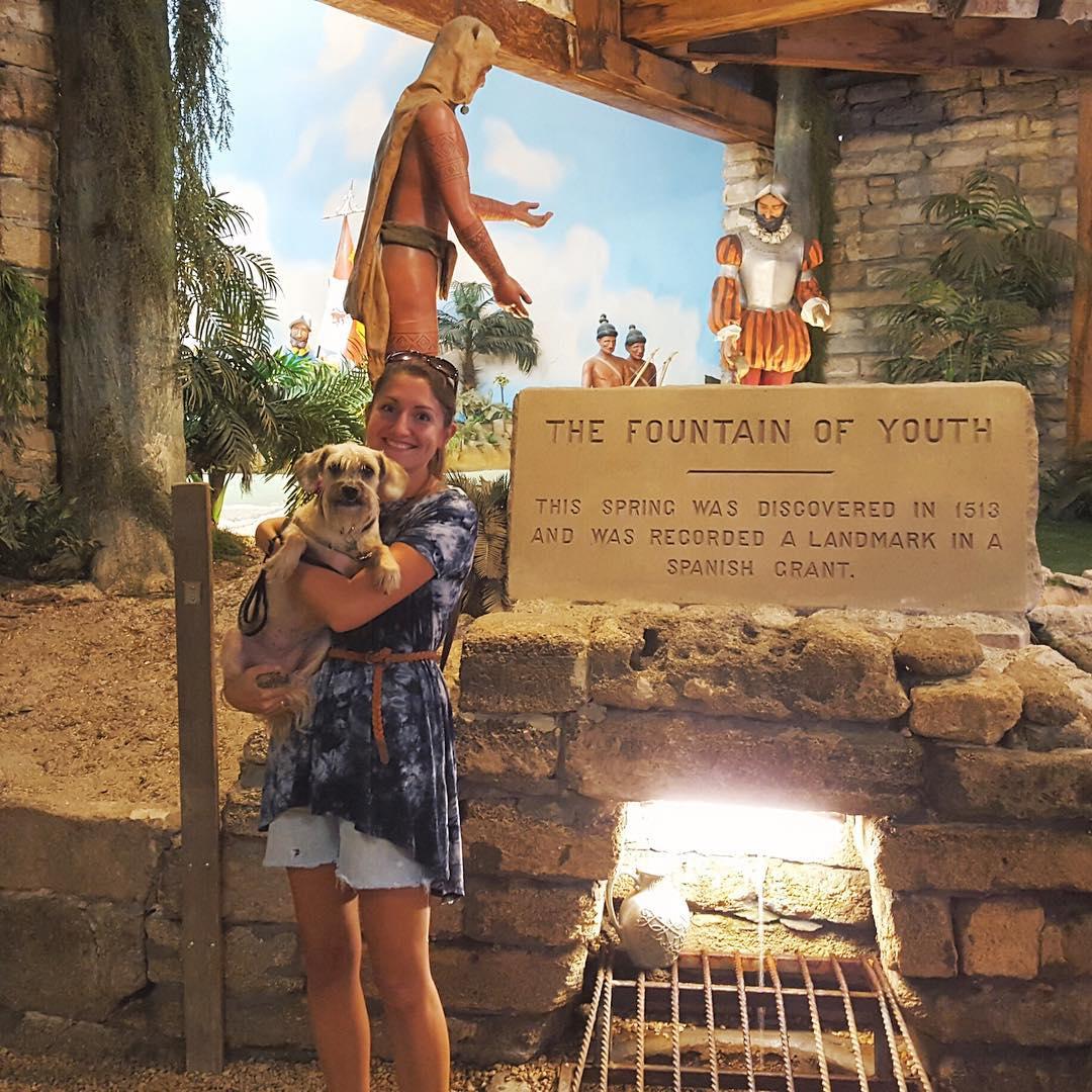 Dog Friendly Activities in St. Augustine, FL BringFido