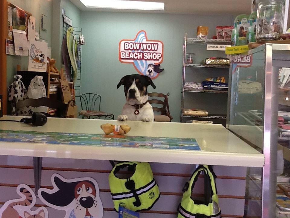 Pet Friendly Bow Wow Meow Beach Shop