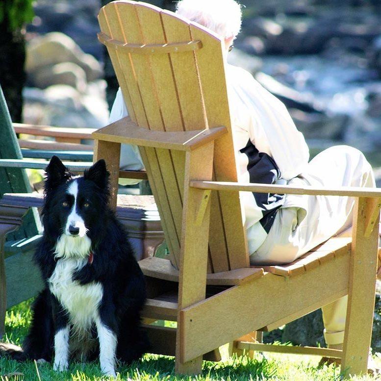 Dog Friendly Activities In Banner Elk Nc Bringfido