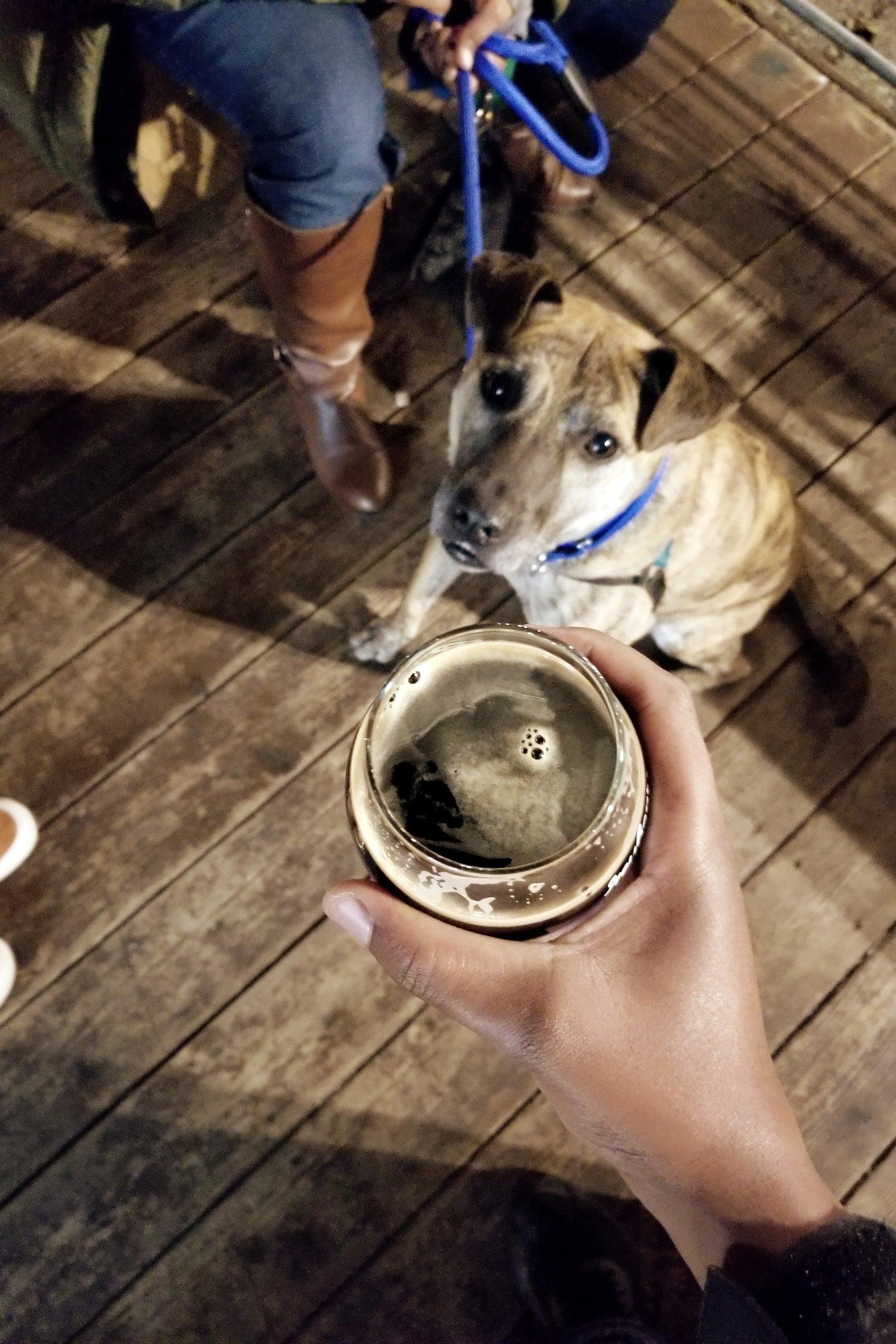 Pet Friendly Beer Tasting Thru Seattle's Beertropolis