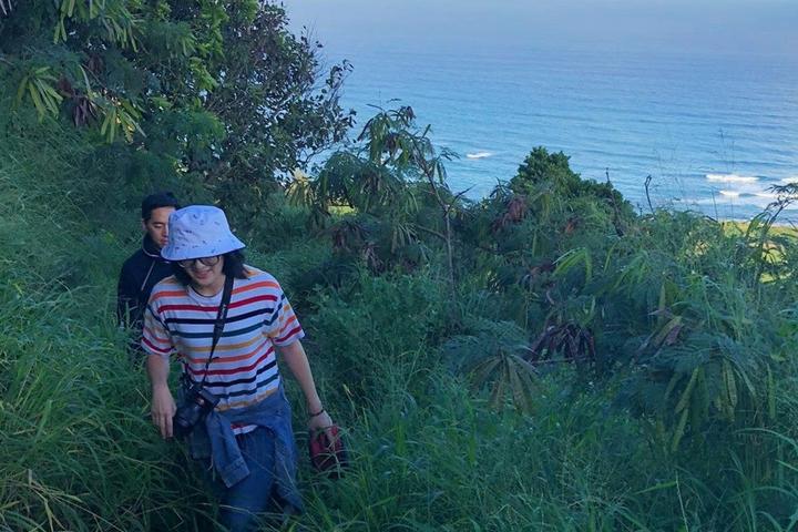 Pet Friendly Beautiful Hike in North Shore Oahu