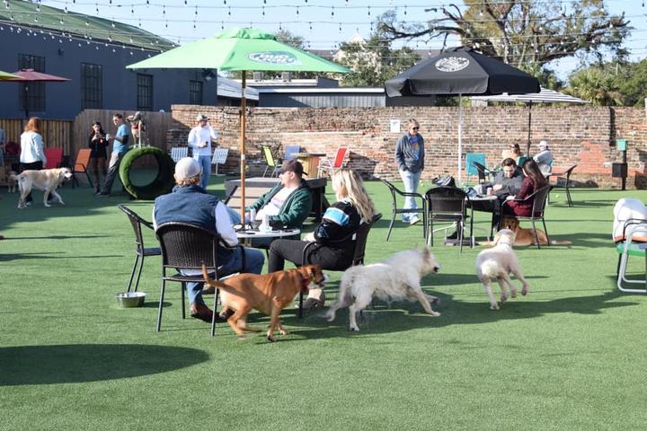 Pet Friendly HopHounds Brew Pub & Dog Park