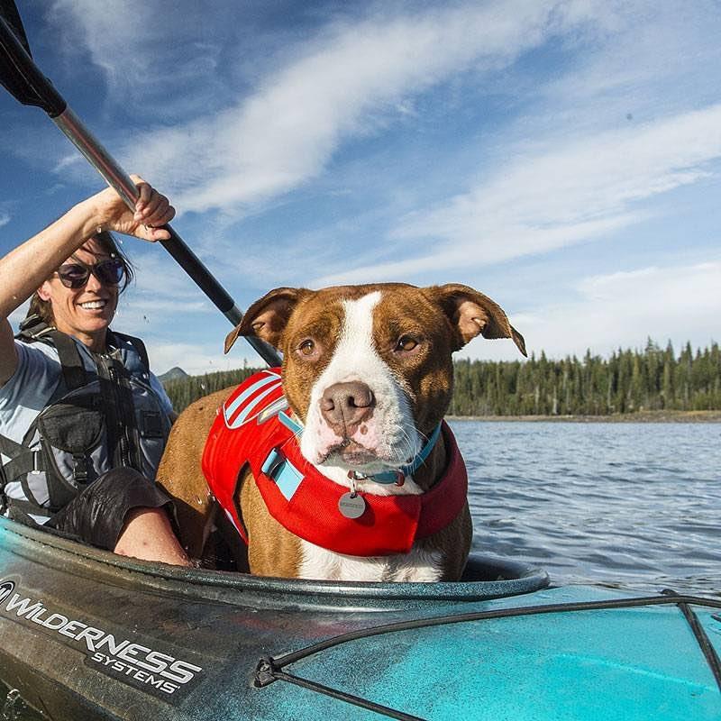 Pet Friendly Collinsville Canoe & Kayak