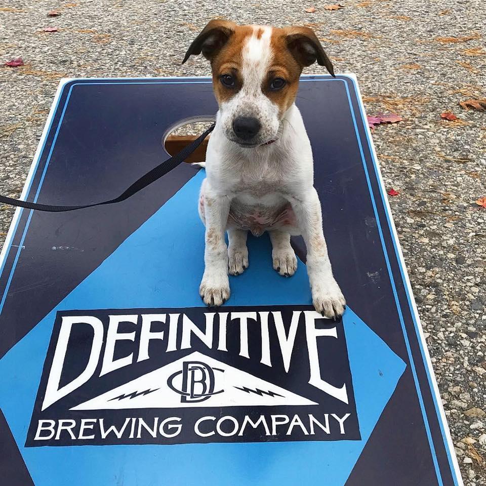 Definitive Brewing