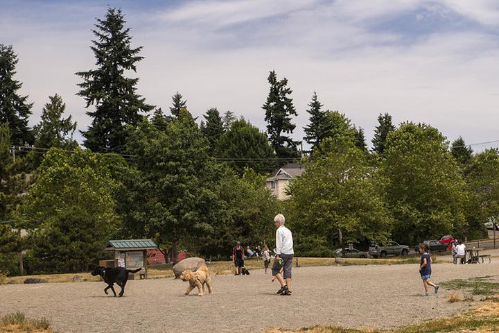 Pet Friendly Genesee Park and Playfield