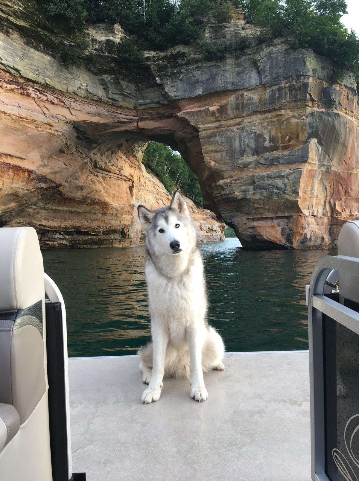 Dog Friendly Activities in Munising MI BringFido