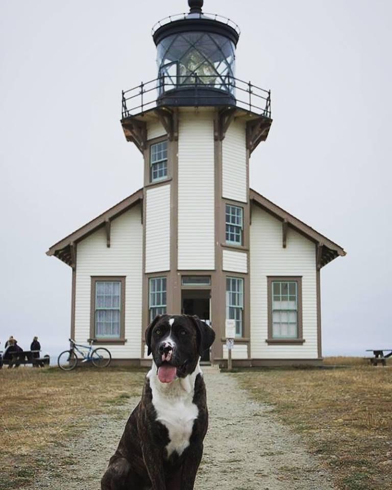 Pet Friendly Point Cabrillo Light Station State Historic Park
