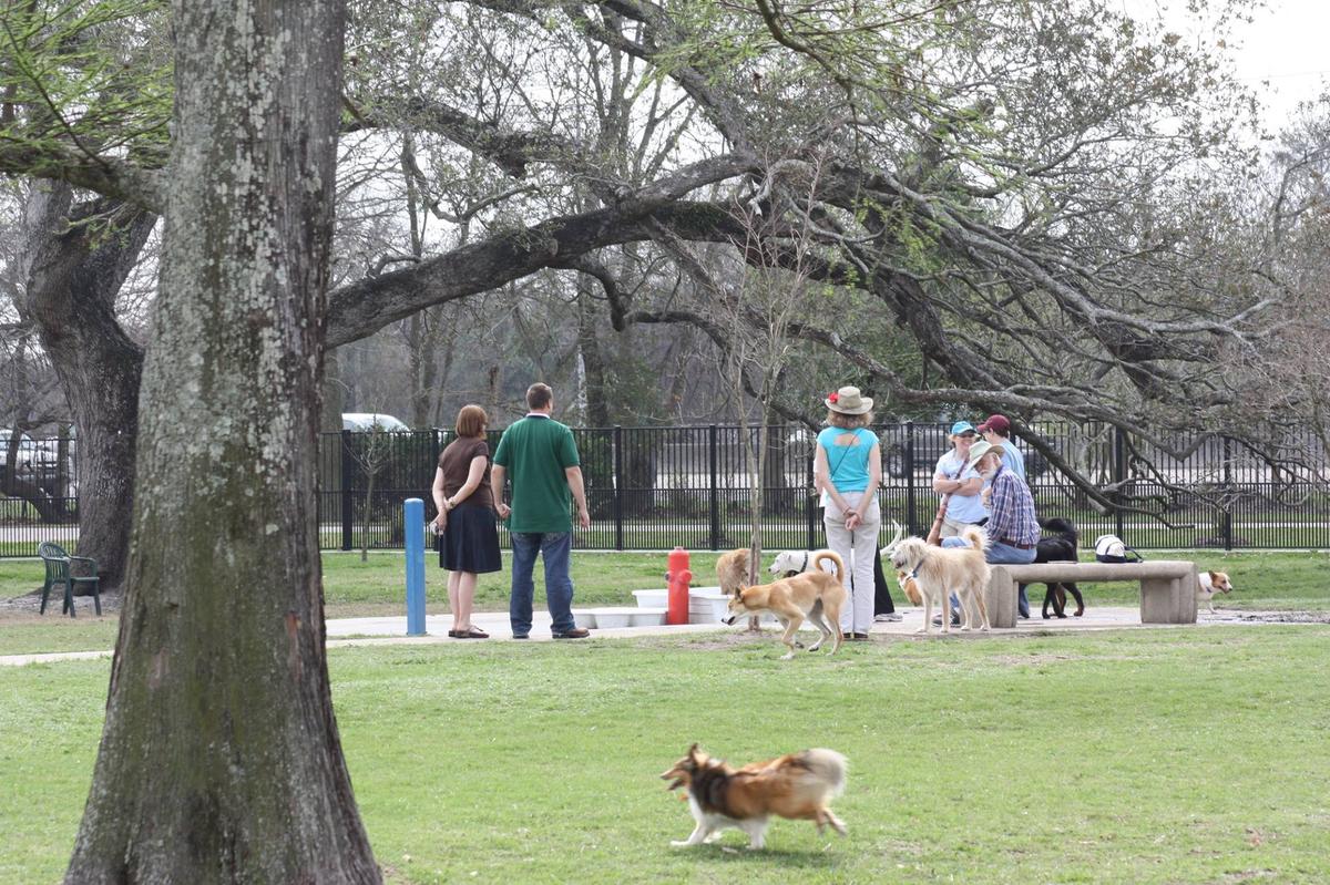 Dog Friendly Activities in Destrehan LA BringFido