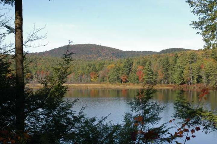 Pet Friendly Mount Grace State Forest